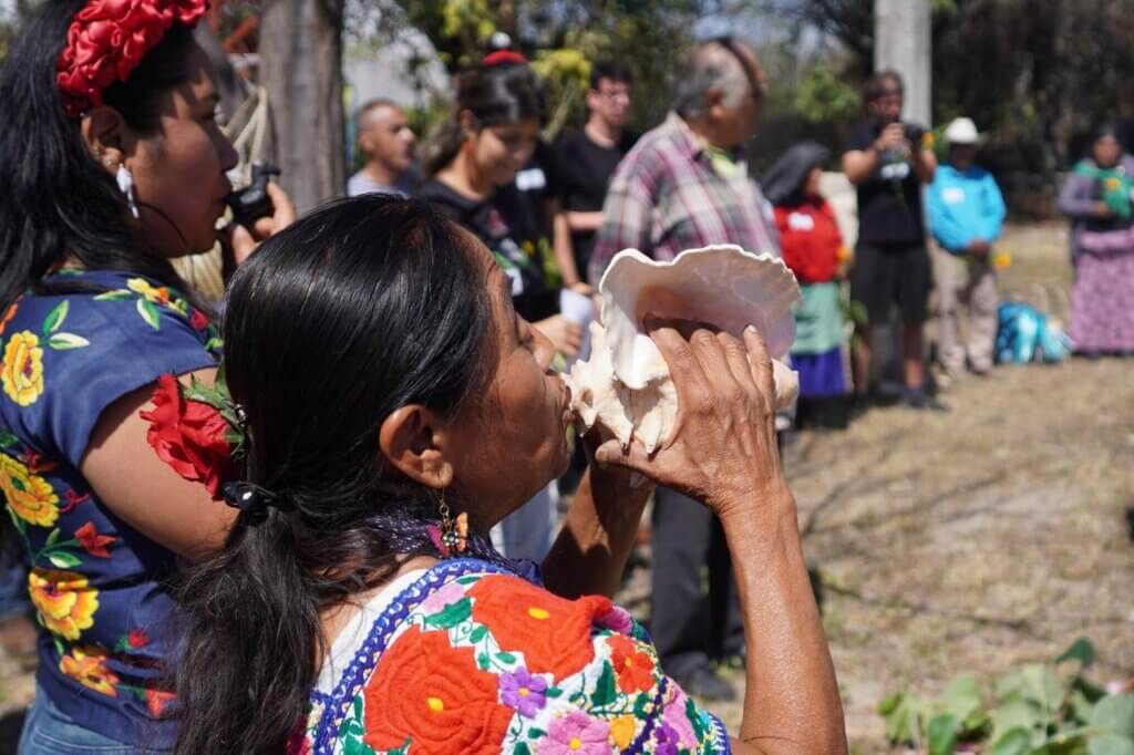 Teocentli: Nace un Centro para la Autonomía en Tehuacán